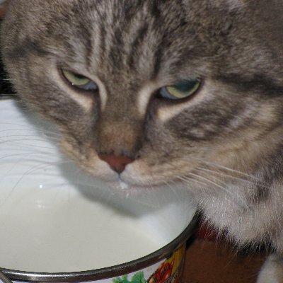 ru_webmaster's profile picture. Privet