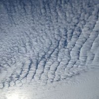 Jale Özkara (@jaleozkara) 's Twitter Profile