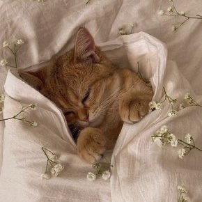 emmiewich's profile picture. worms eye view