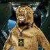 Goldman 🐻 (@goldmanbear) Twitter profile photo Goldman 🐻 (@goldmanbear) Twitter profile photo