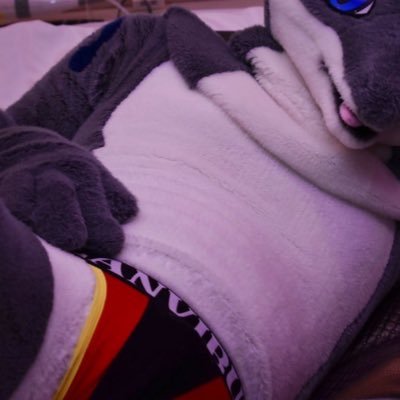 とあるケモノ好きサメの趣味垢?雑多垢(japanese furry fun) R-18🔞。このアカウント内容は、表とは関係ありません。他言無用でお願いします。 SharkFursuit/PTST/Robber等有 どなたか分かると通しやすいです(DMは開放しています)Reverse_saldkrltniv