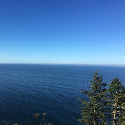 snowyplanets's profile picture. ML ☭, 26 he/him