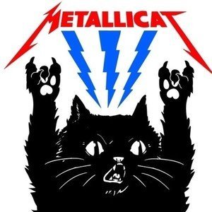 That Metallicats Guy