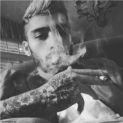 @zayn fan steam love like this ❤️