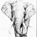 Takapon_elephant𓃰 (@tak_na_ele) Twitter profile photo Takapon_elephant𓃰 (@tak_na_ele) Twitter profile photo