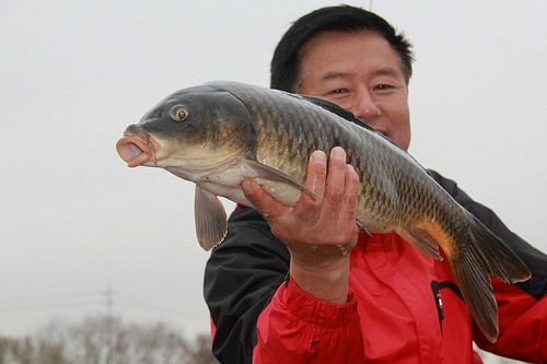 Fishingmania7's profile picture. 모든 낚시장르를 좋아하고  
낚시와 사랑에 빠진 앵글러 ! 
낚시마니아