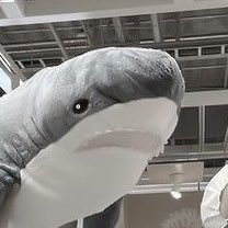 zzll_07's profile picture. 