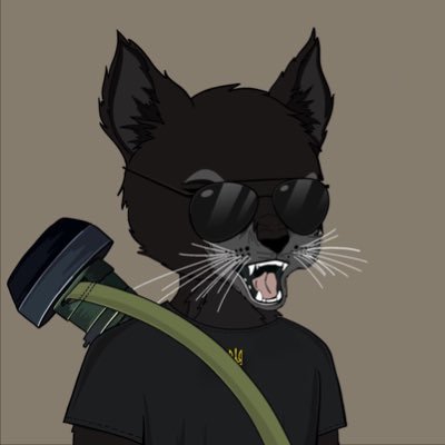 mvkro_'s profile picture. 🐺🇺🇦