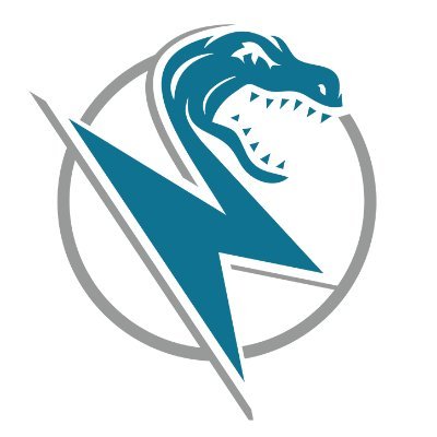 recompileraptor's profile picture. Code. Execute. Evolve.