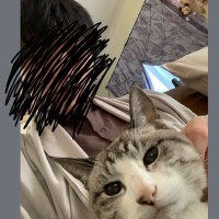はましょー (@hamasho_722) 's Twitter Profile Photo
