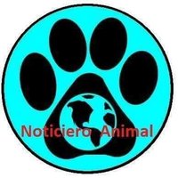 NOTICIERO ANIMAL ® 🐾(@NoticieroAnimal) 's Twitter Profile Photo