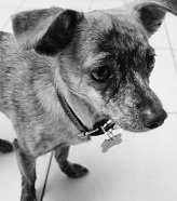 bakinginthesun's profile picture. Earth has music for those who listen... so dance.