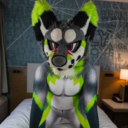 m/bi/switch. AD account sometimes deer(yoohoo) and a hoosk(wasabi)  petsuit and mursuiter content. motocross gear pm friendly
main:  @hachi_fox11
