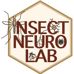 We use neuroscience, genetic tools, molecular biology, imaging and behavioural assays to understand how insects process environmental stimuli. Led by @Lena_Riab