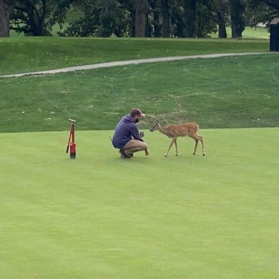 EchoValleyTurf's profile picture. 