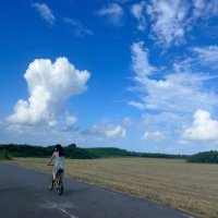 SHO-おひたま (@dsipza) 's Twitter Profile