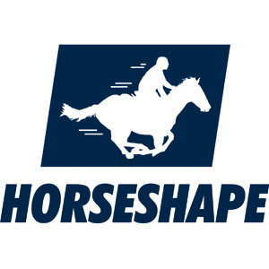 The basic idea of HORSESHAPE is to digitalize the back of a horse with 3D scanning technology and document occurring changes.