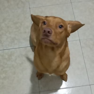 Apasionado al deporte y sobre todo al fútbol, aprovechando los días que Dios nos da vida para sonreír cada vez más...