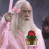 🌹Gandalf the Grey🐝🪬𓂀🇵🇸🐦‍🔥♿️(@Sh_Gandalf) 's Twitter Profile Photo