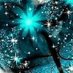 Stars on the wall (@shadowlover144) Twitter profile photo Stars on the wall (@shadowlover144) Twitter profile photo