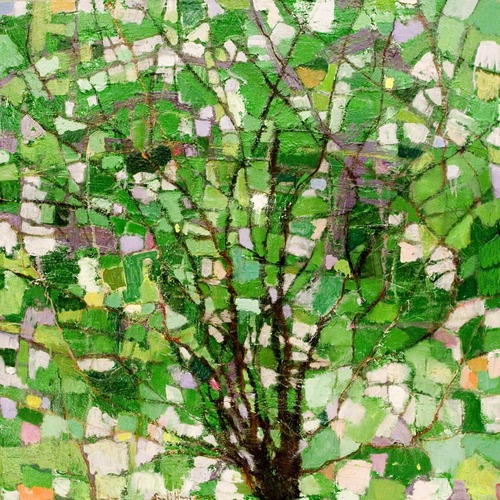 xxzr's profile picture. 