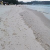 Nguyen Van Toi ❤️ Memecoin (@nguyenv58567758) 's Twitter Profile