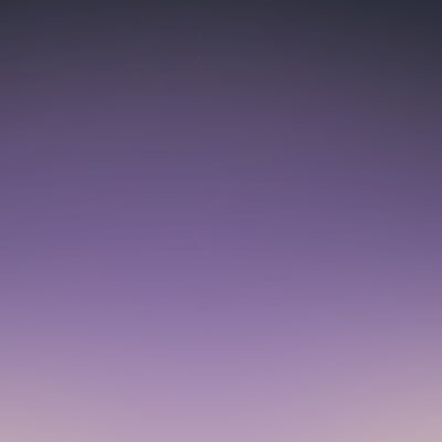 🐶さんのプロフィール画像