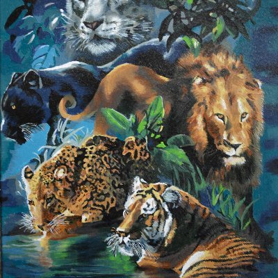 licksipsuckit's profile picture. looking for a well hung single STRAIGHT man