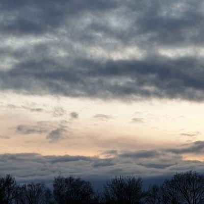 jules_hamburg's profile picture. 