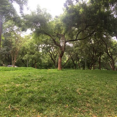 DeccanSpace's profile picture. Real estate Agent in Hyderabad