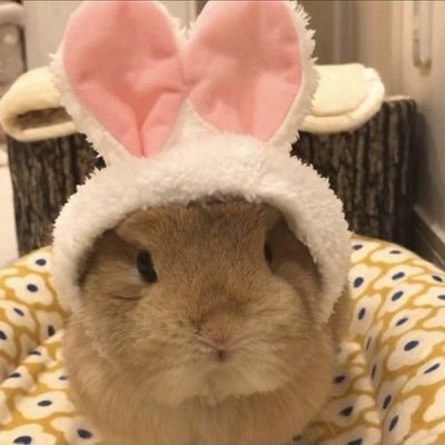 _loraa_v's profile picture. 