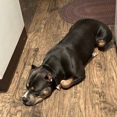 ILoveLucyfr's profile picture. let’s party and orgy all day and night