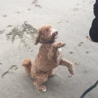 Ann O'Hare (@annmohare) 's Twitter Profile
