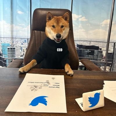 CeoOfUnemployed's profile picture. CeO of unemployed