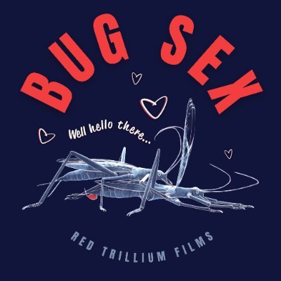 BUG SEX: It's Complicated | A Documentary Film by Red Trillium Films  | Watch on @CBCDoc's 'The Nature of Things' on @CBCGem (S62, E9)