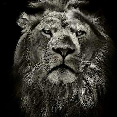 Tv42751Status's profile picture. Happy life