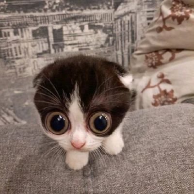 Mateus48277782's profile picture. games