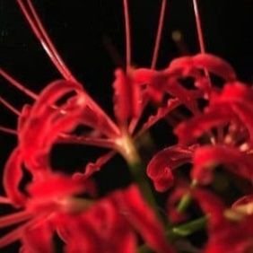 Equinox07312012's profile picture. 