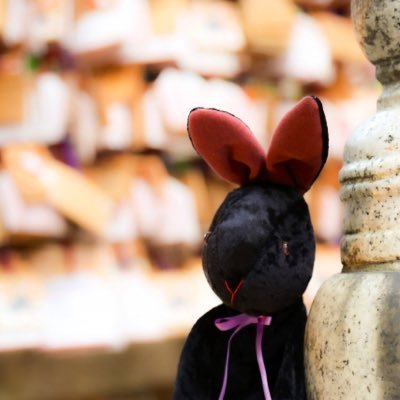 black_pyon321's profile picture. ひょんなことから2026年2月22日の大阪マラソンに出ることになったデブ♀。走ることとは皆無な日々から完走を目指します。無言フォロー失礼しますm(_ _)m