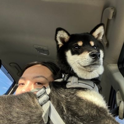 tinenguyenchris's profile picture. sylvandale middle school ‘11