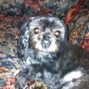 Robyn Lyons - @Robyn_Lyons - Twitter