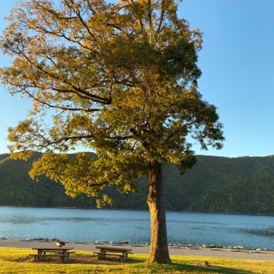 foster_vaughn's profile picture. 