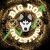 bigdog_invest