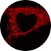 Gustafsson Lab (UCSD) (@gustafssonlab) Twitter profile photo Gustafsson Lab (UCSD) (@gustafssonlab) Twitter profile photo