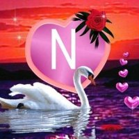 أملي في الله (@nona__alex) Twitter profile photo
