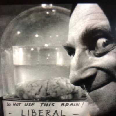 warriorGER's profile picture. MAGA, Red Patriot, the Constitution Rules, God bless Veterans, and police, firefighters, nurses