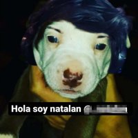 Natalan (@natalan_) 's Twitter Profile Photo Natalan (@natalan_) 's Twitter Profile Photo