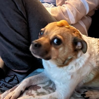 DanksDerick's profile picture. I build computers