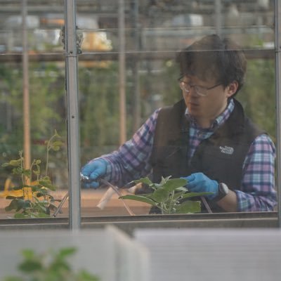 PhD candidate at UGA Plant Pathology (Molecular Plant Nematology)