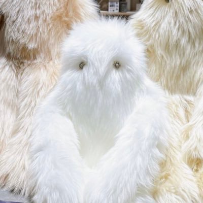 アルコさんのプロフィール画像